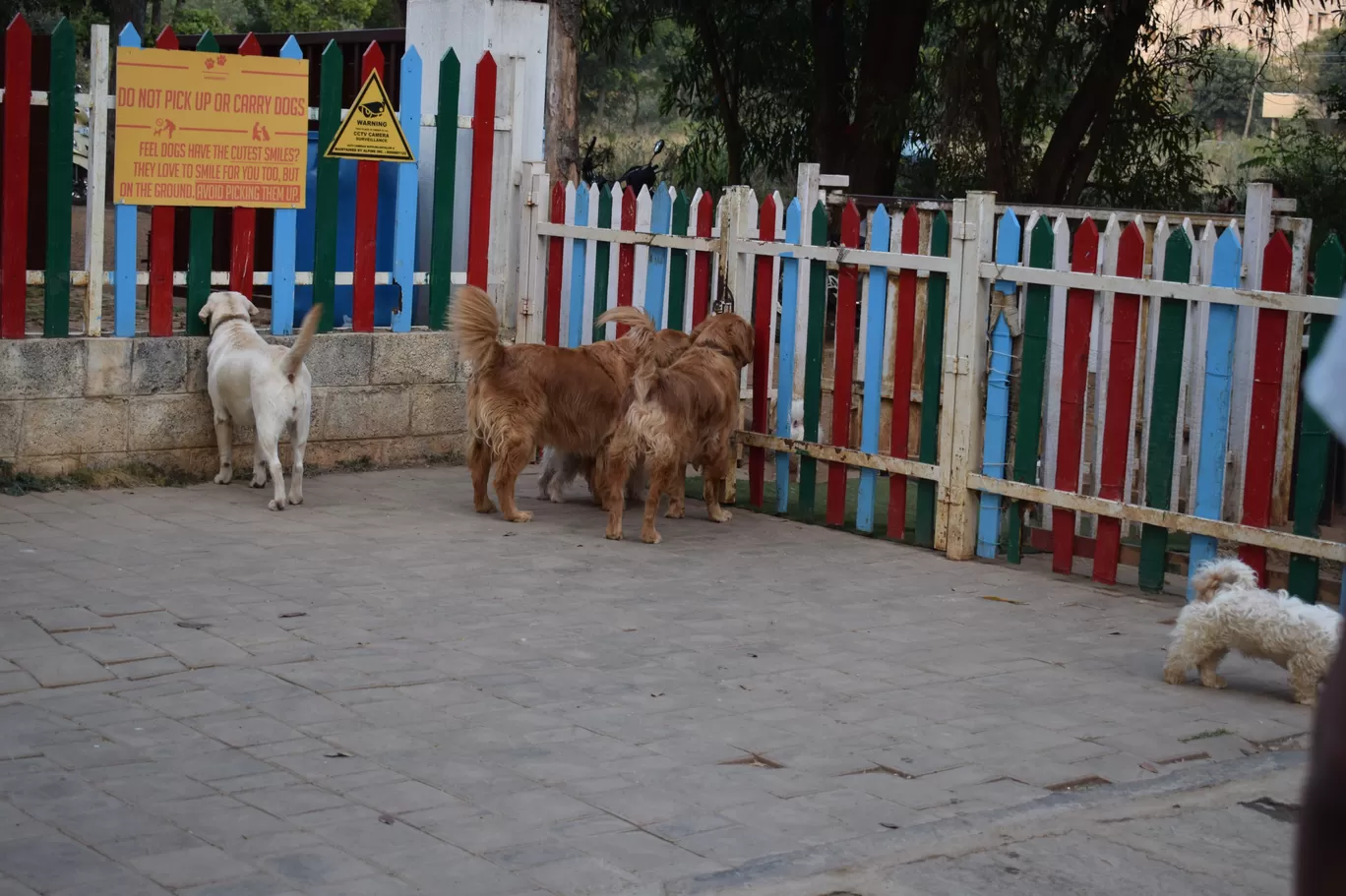 Photo of Jalandhar By Aakriti & Nitin | @thecarpediemduo