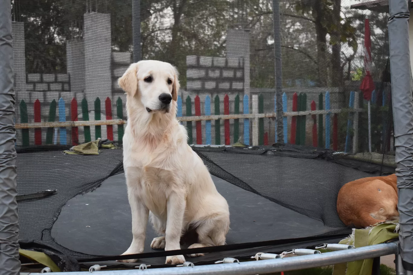 Photo of Jalandhar By Aakriti & Nitin | @thecarpediemduo
