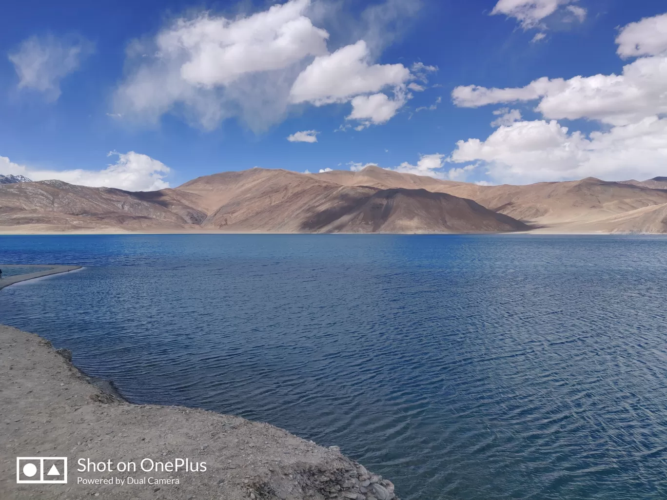 Photo of Pangong Lake By Davina Carapurcar