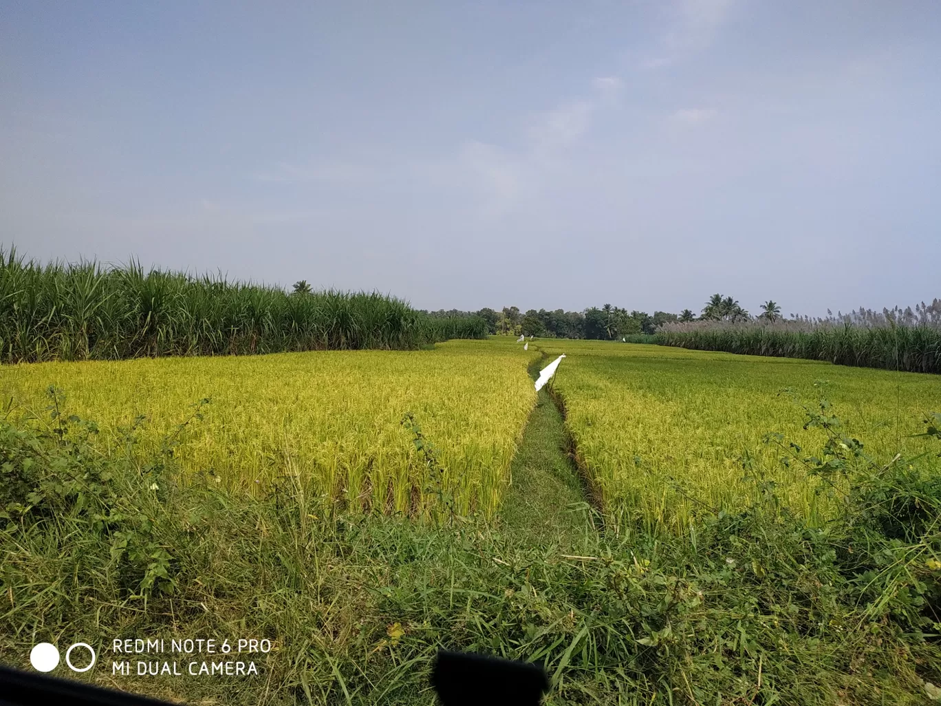 Photo of Srirangapatna By soumya cs