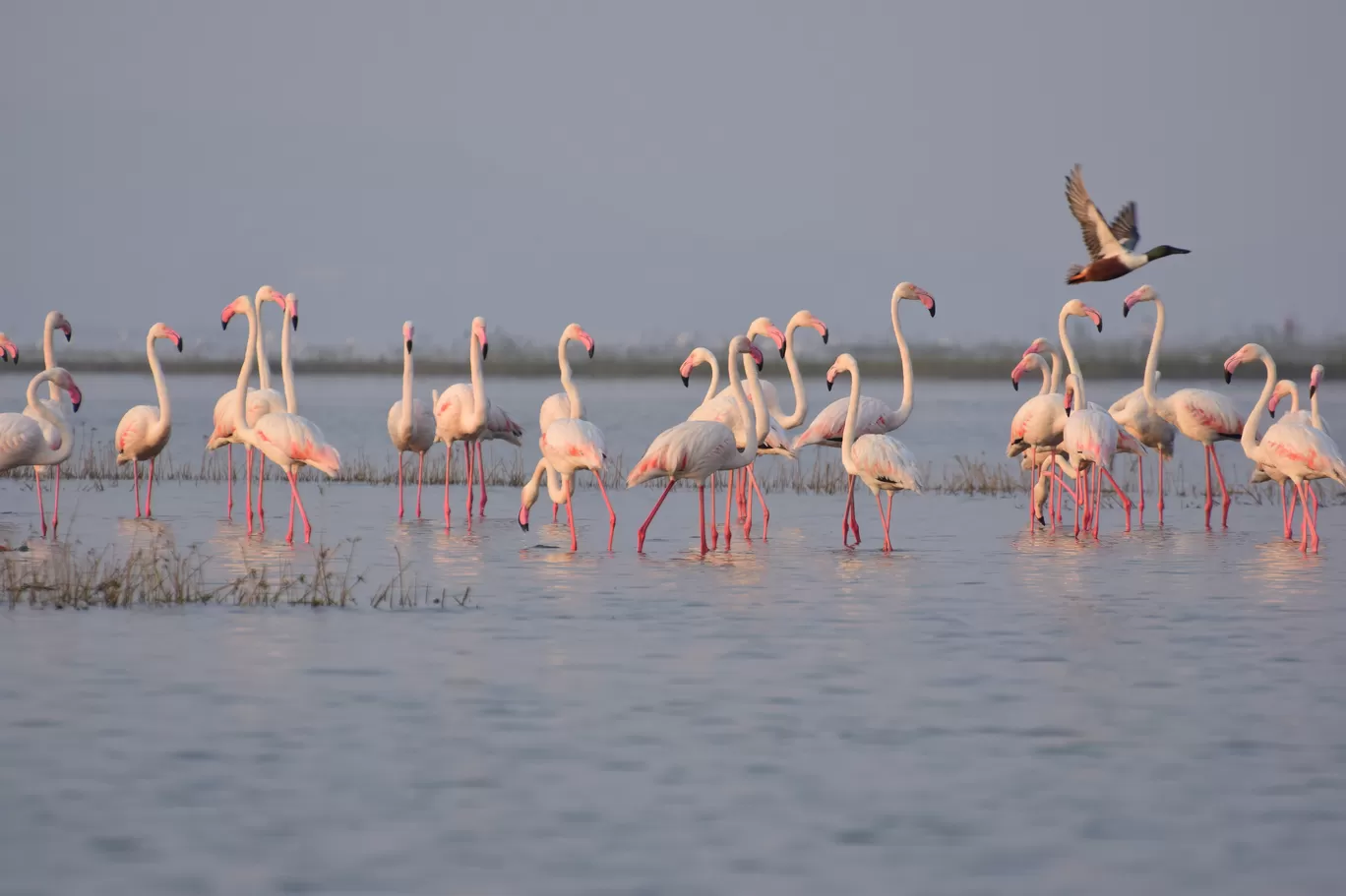 Photo of Bhigwan By Prashant Kumthekar
