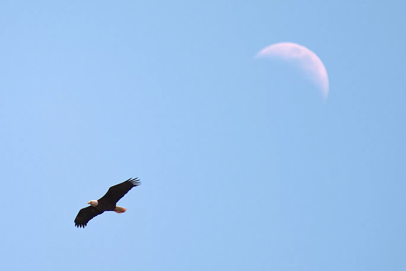 Photo of Manitoba By Akash Kapri