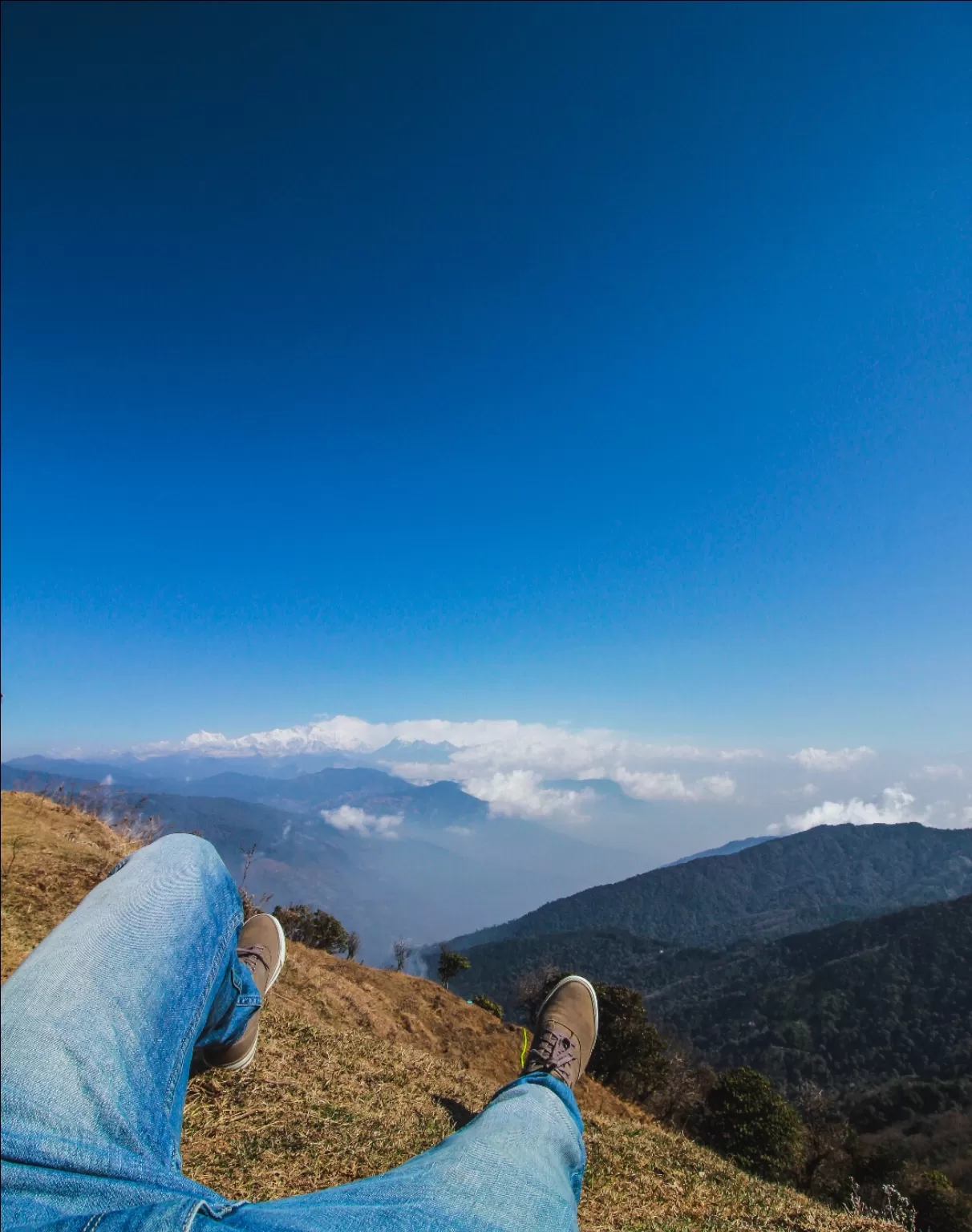 Photo of Sandakphu By Ankan Debnath