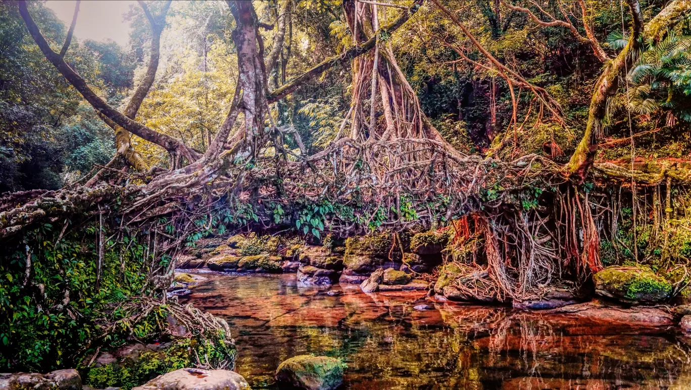 Photo of Mawlynnong By Ankan Debnath