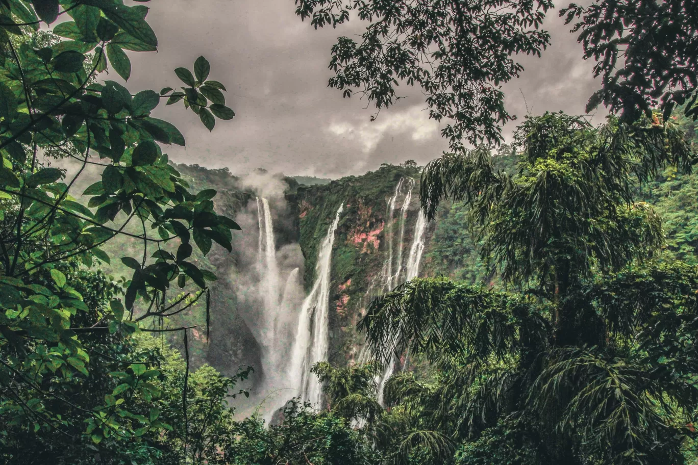 Photo of Jog Falls By Ankan Debnath