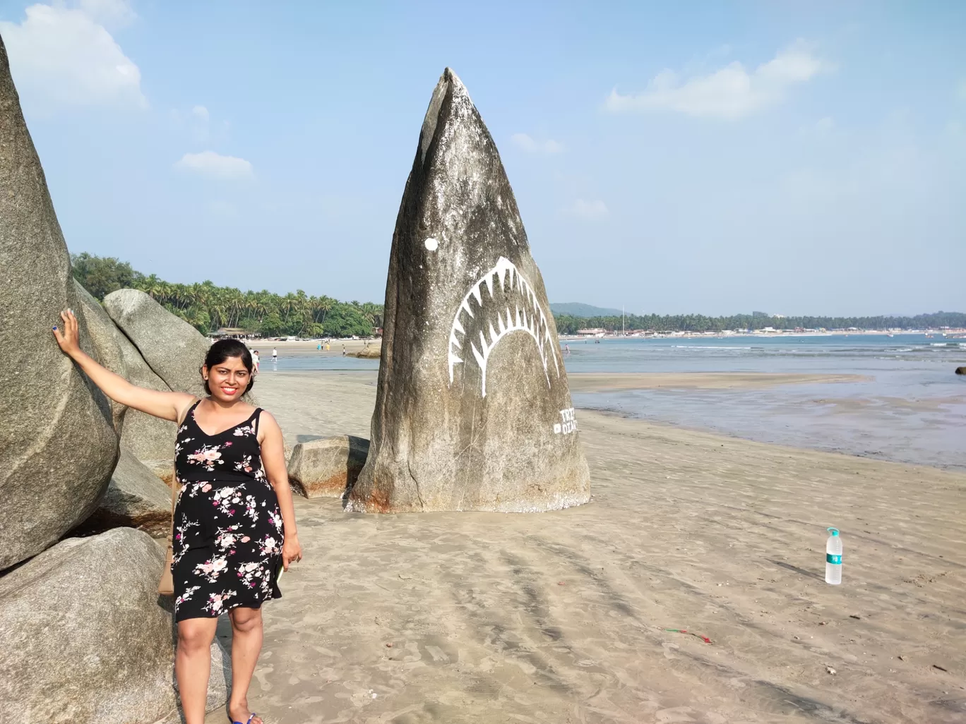 Photo of Goa By Luxury Ambani 