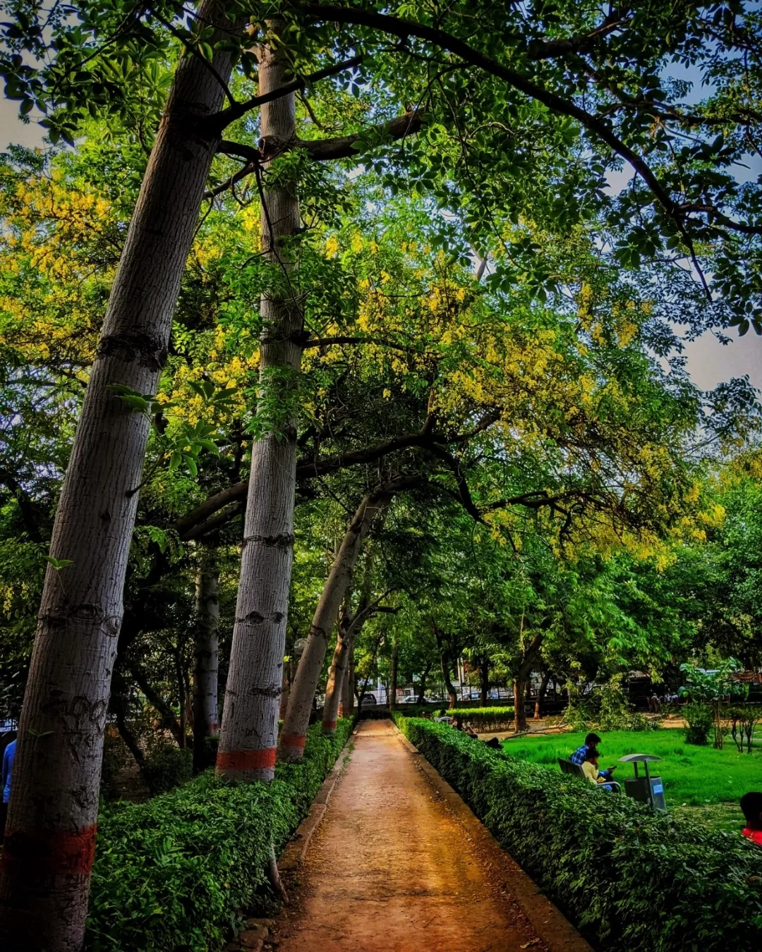 Photo of Connaught Place By Mayank Rai