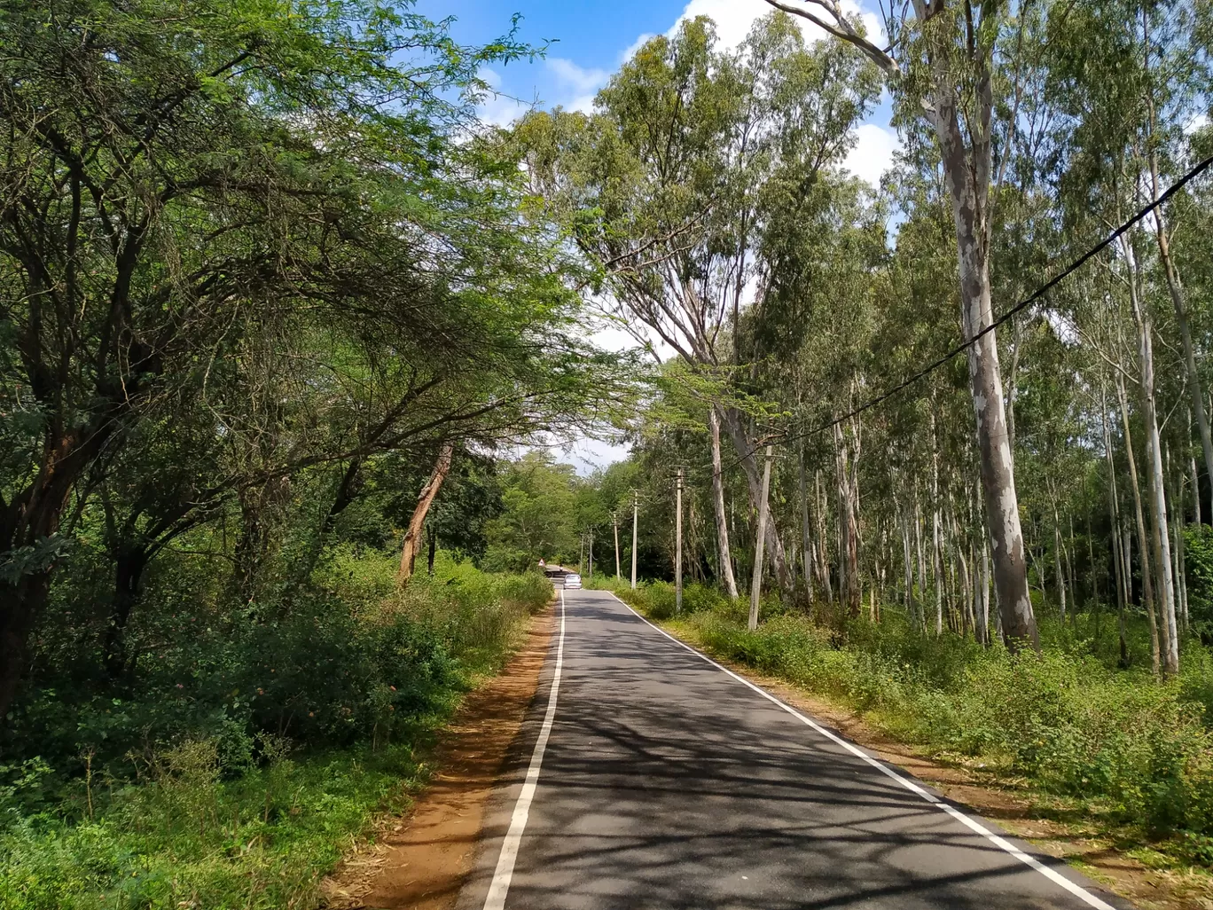 Photo of Savanadurga - Manchnabele Rd By Ankit Rathod