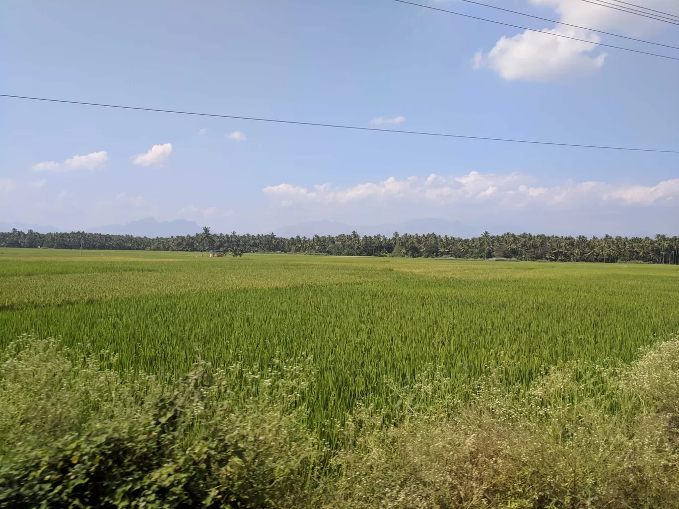 Photo of Courtallam By Shathrugan K