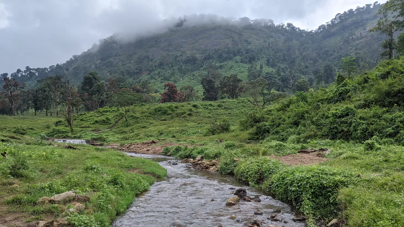 Photo of Parambikulam Tiger Reserve Private Tourism By Shathrugan K