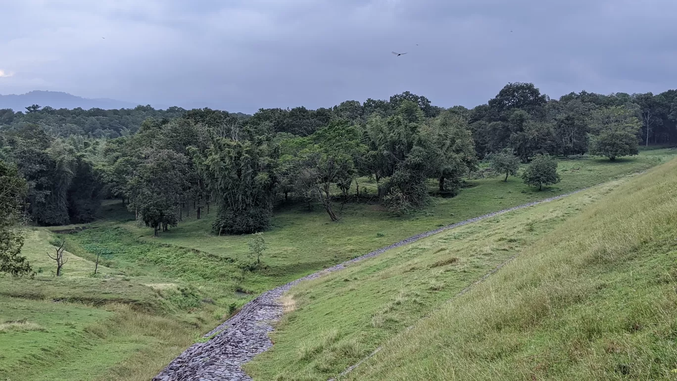 Photo of Parambikulam Tiger Reserve Private Tourism By Shathrugan K