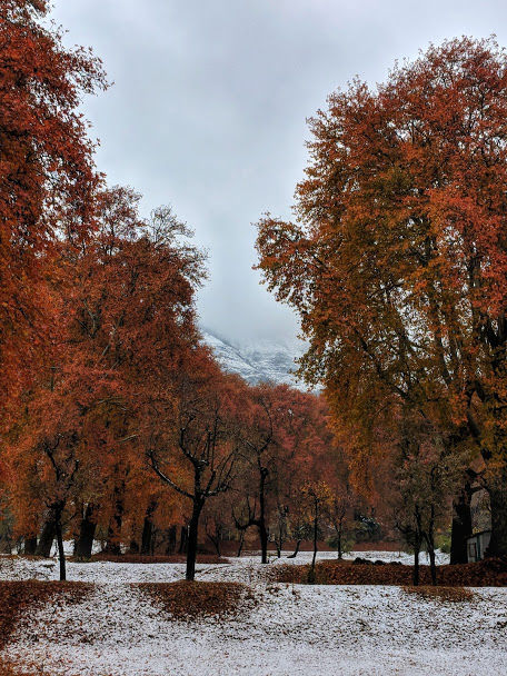 Photo of Shalimar Bagh By Shrey Bansiwal