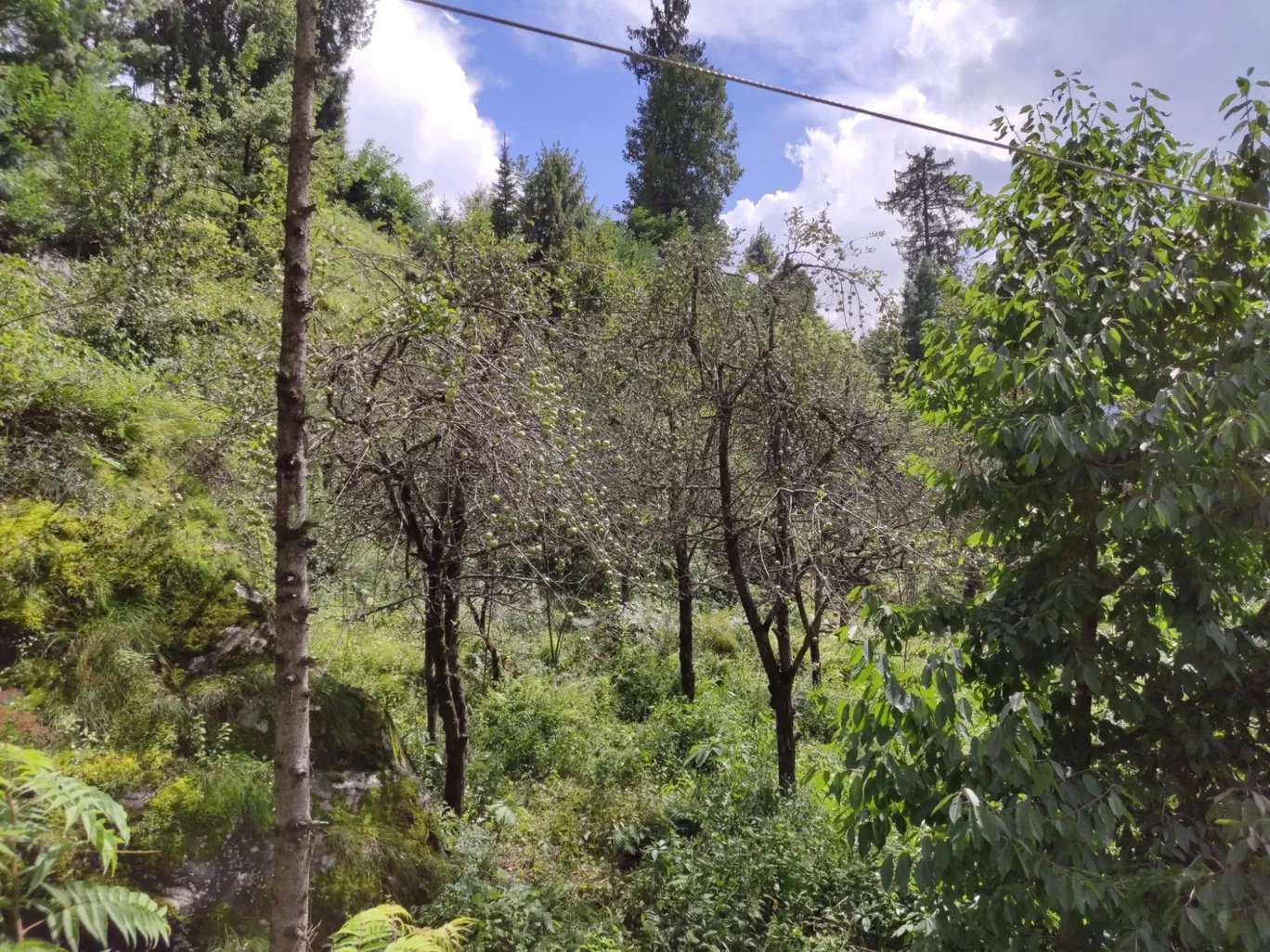 Photo of Himachal Pradesh By abhijit