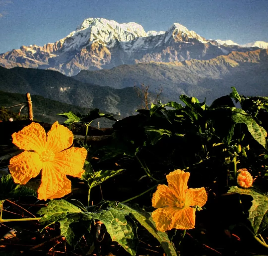 Photo of Kathmandu By Rachael Pereira