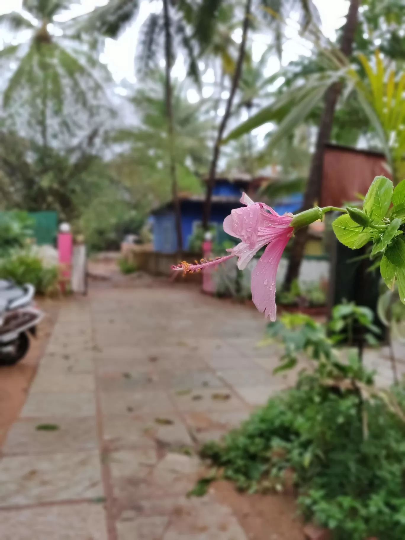 Photo of Goa By Yashna Shree