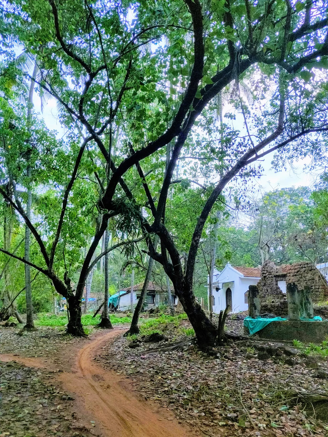 Photo of Goa By Yashna Shree