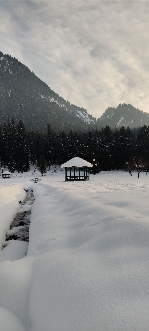 Photo of Betaab Valley By Monica Kasar