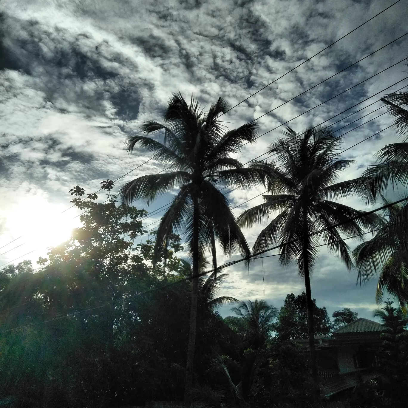 Photo of Kerala By Pournami pottekat 