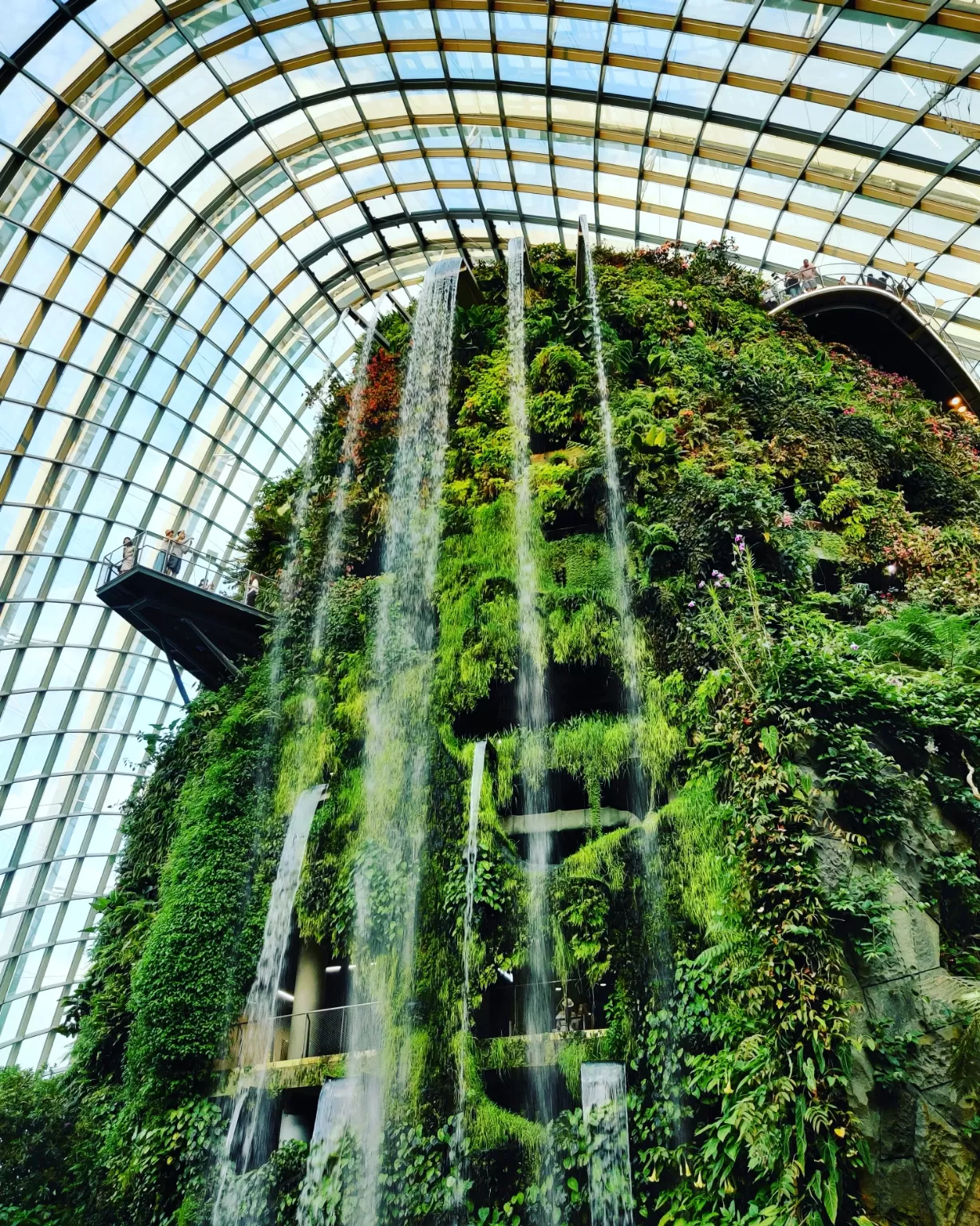 Photo of Singapore By Ayush Bansal