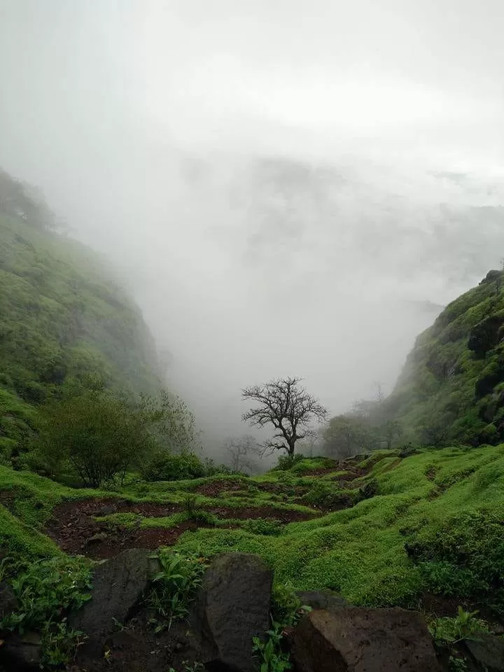 Photo of Raigad Fort By TRAFOCULAR As we travel