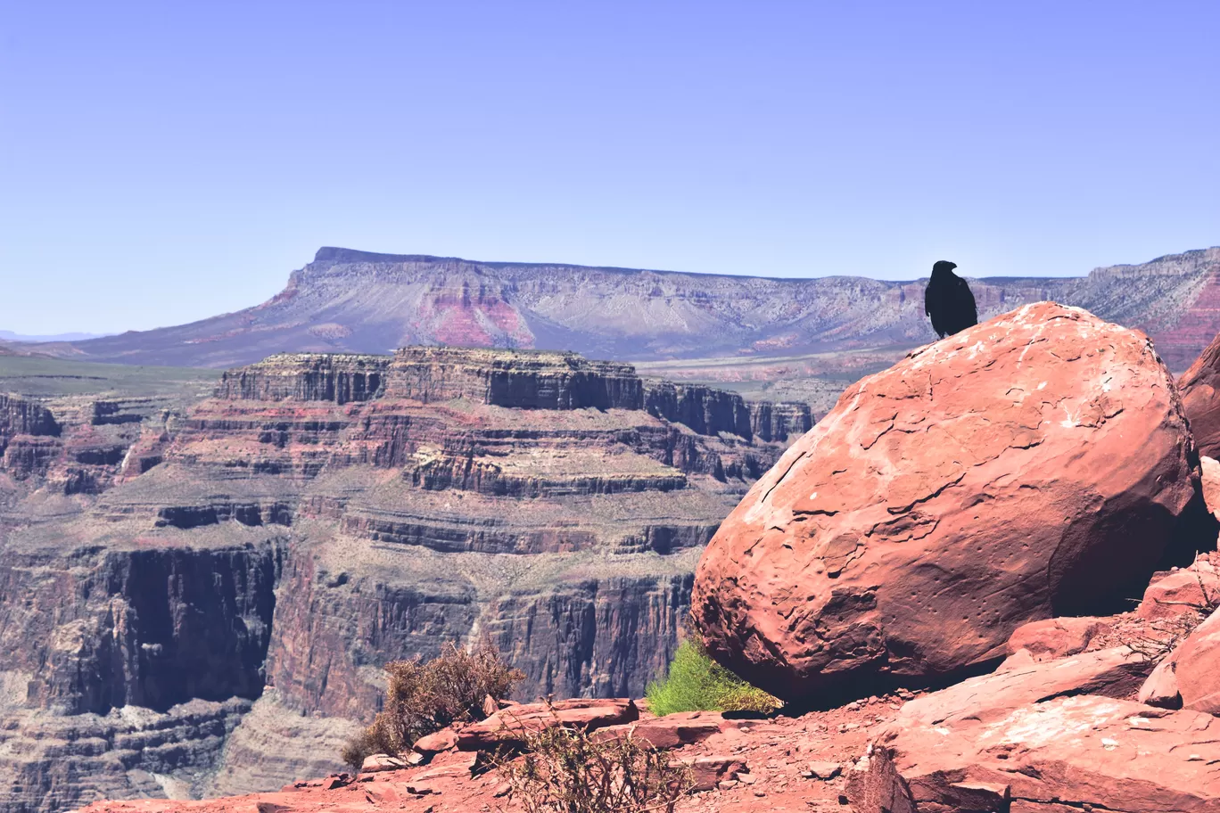 Photo of Grand Canyon By Chintan Patel