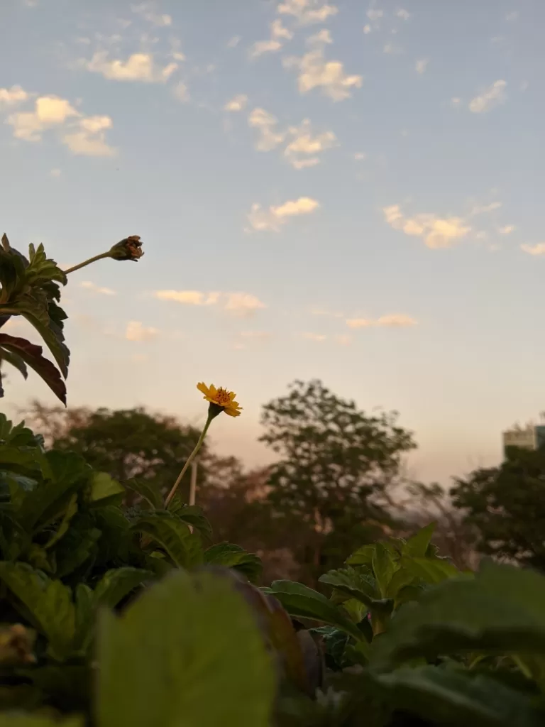 Photo of Mumbai By Jasmine Sahoo