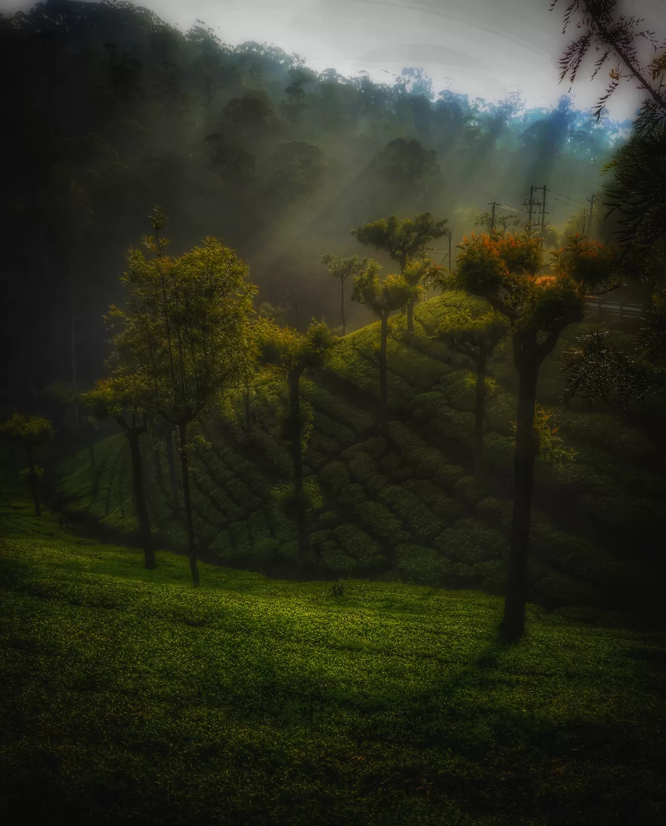 Photo of Coonoor By VISHAL M BIT
