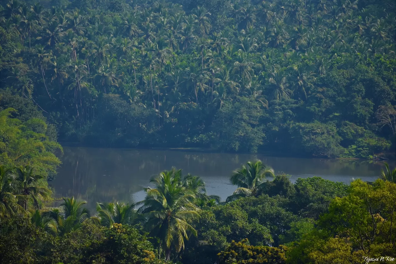 Photo of Kerala By Tejaswi N Rao