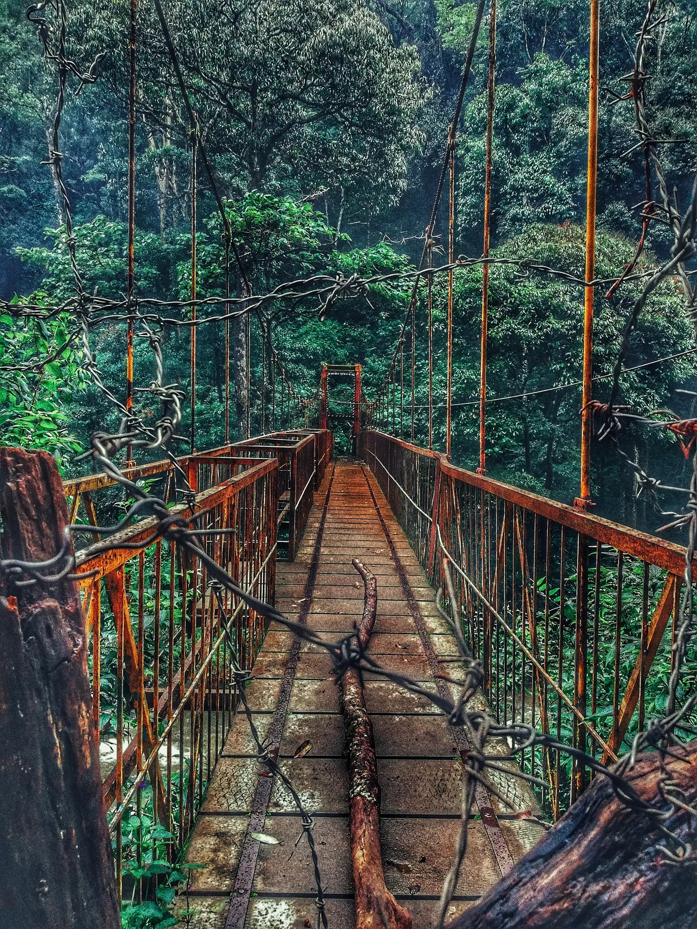 Photo of Abbey Falls Madkeri By NyxMo