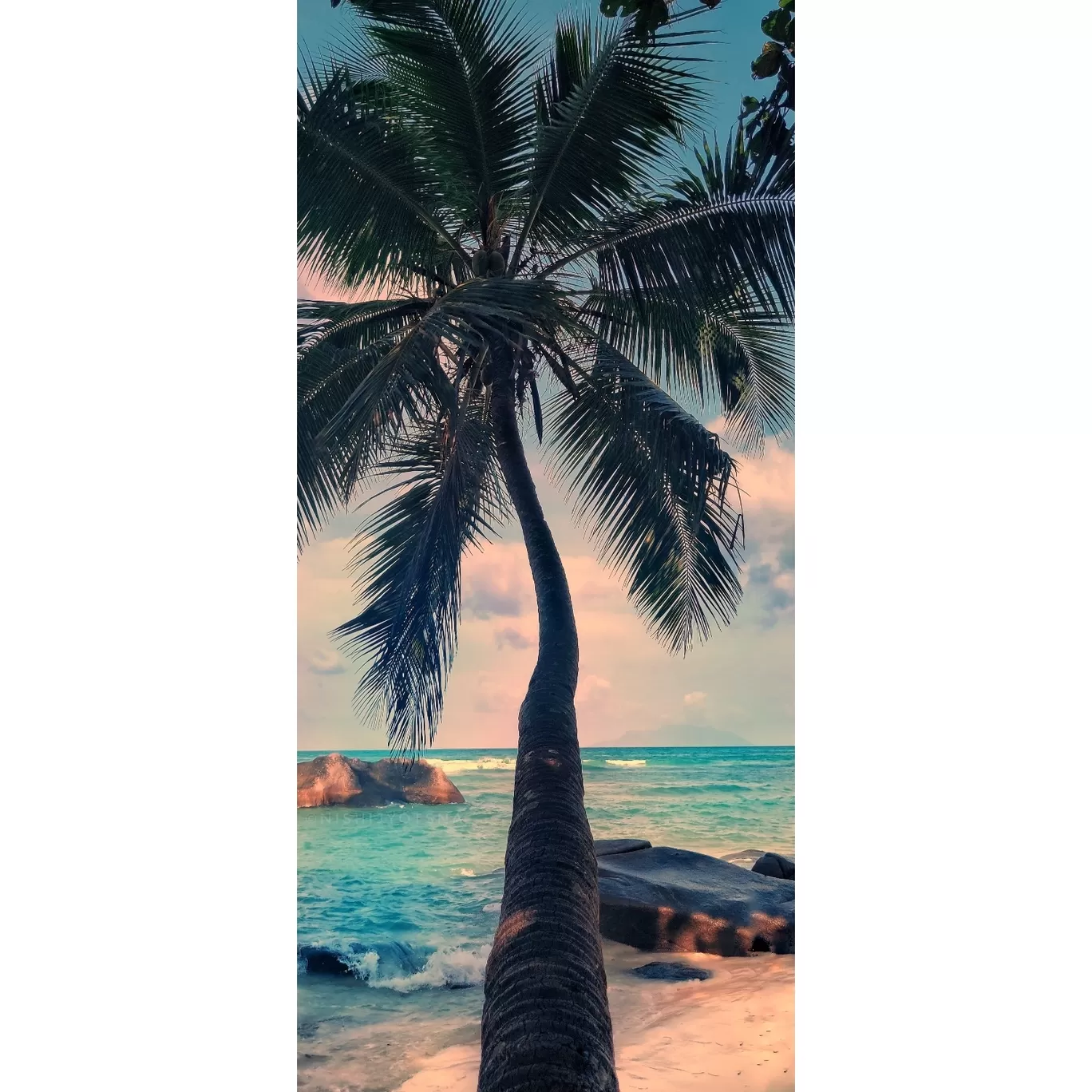 Photo of Seychelles By NyxMo