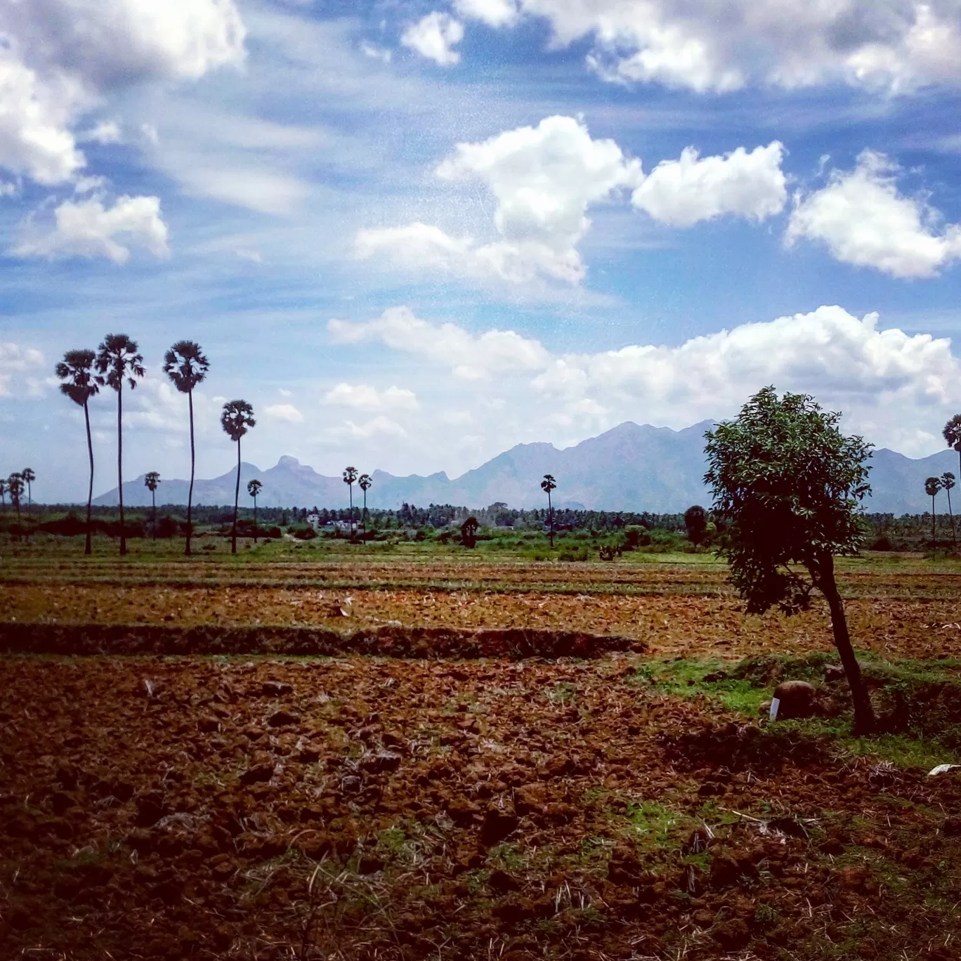 Photo of Nagercoil By Gokul Rajendran