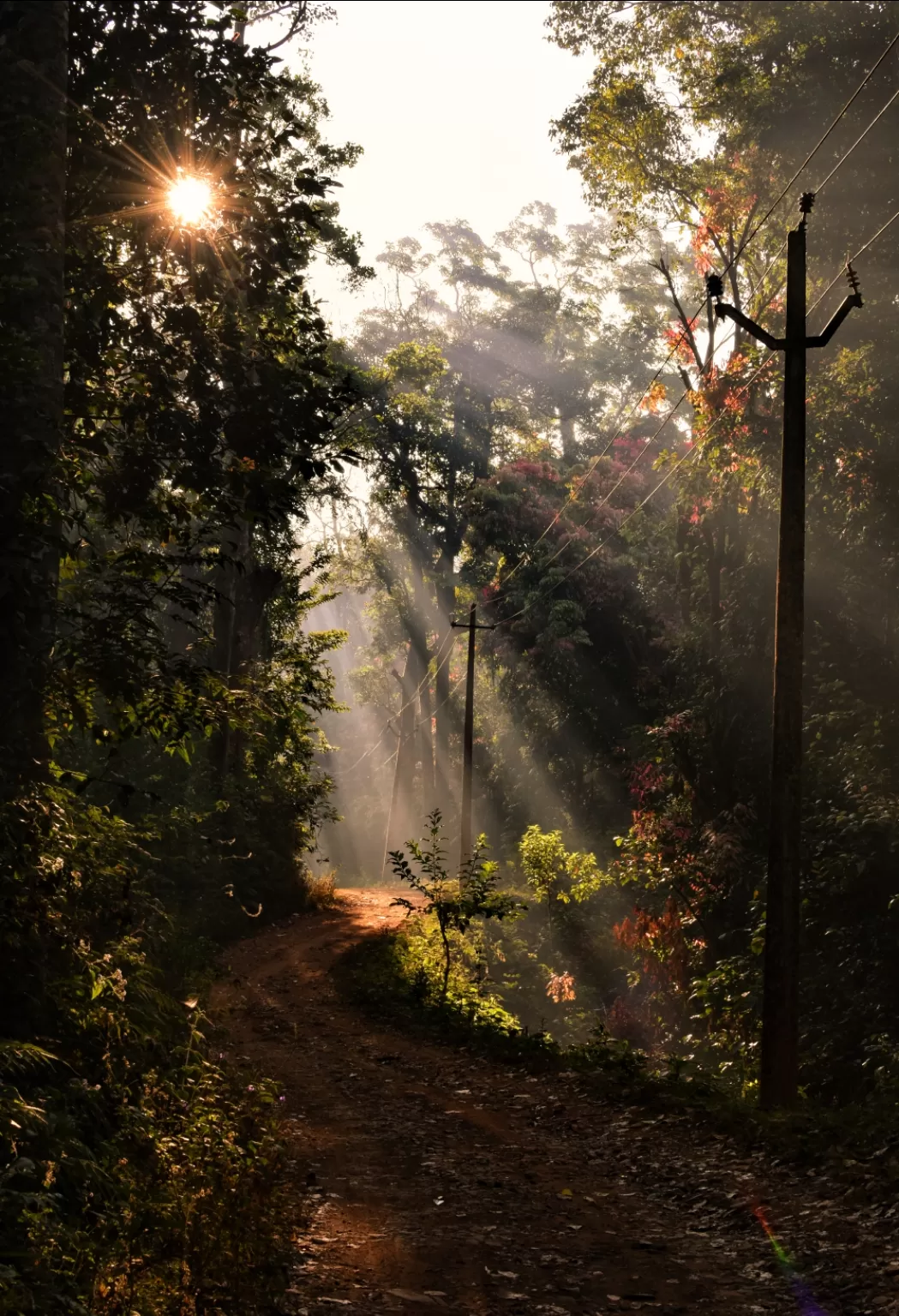 Photo of Chikmagalur By Nirupama Govardhan