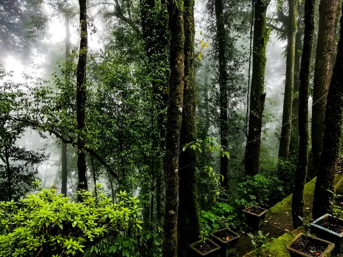 Photo of Darjeeling By Siddharth Singh