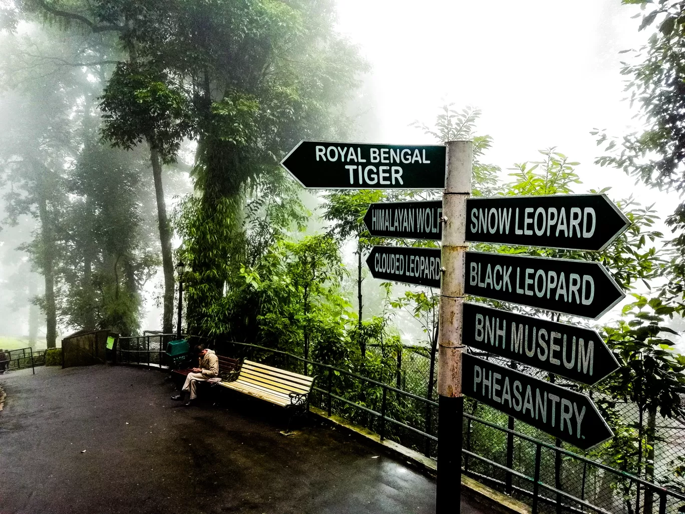 Photo of Darjeeling By Siddharth Singh