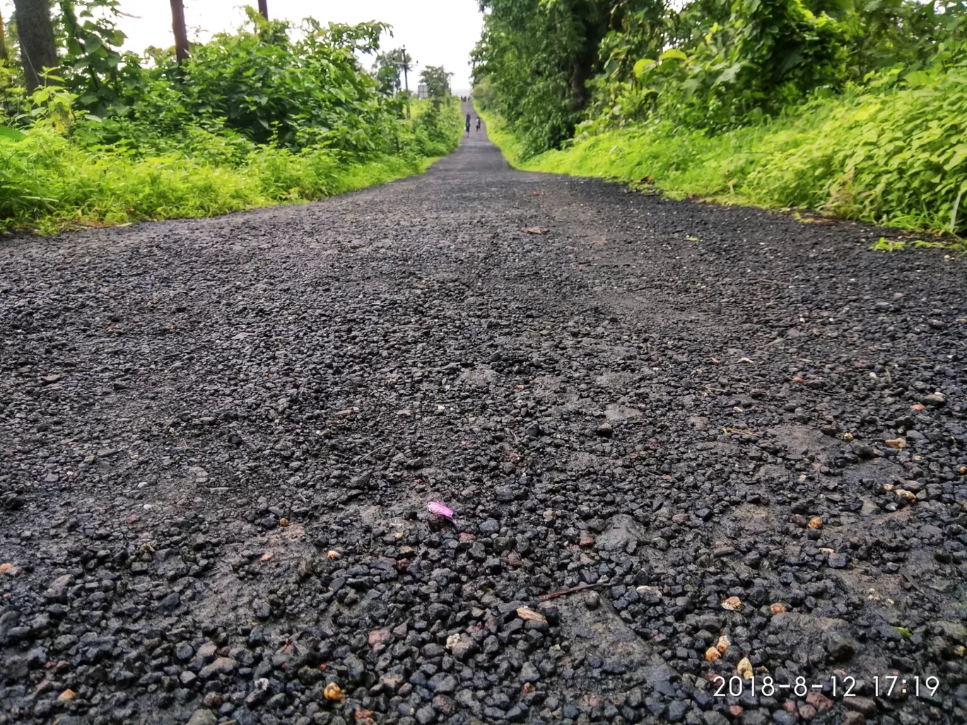 Photo of Kothaligad By Suraj Khutarkar