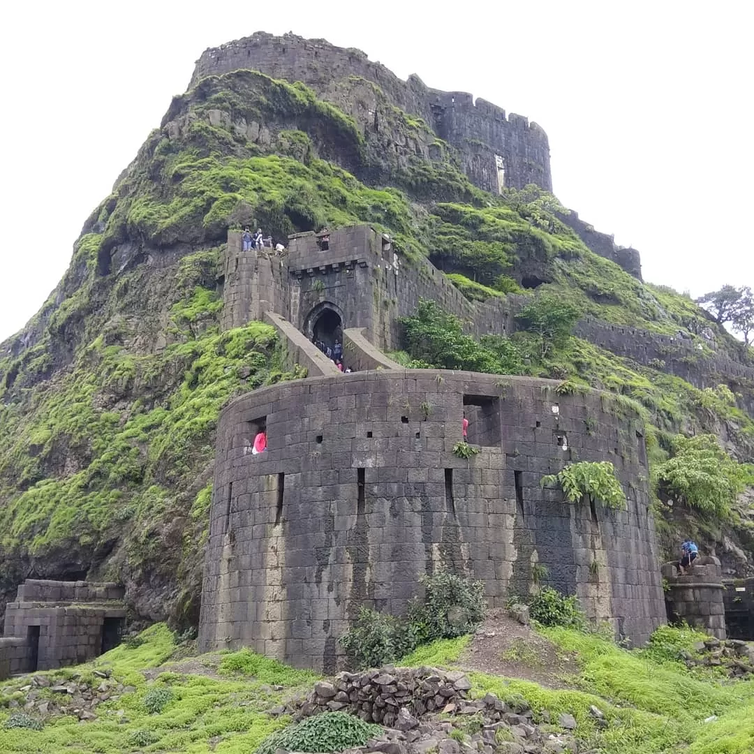 Photo of Vinchu kada Lohgad By Suraj Khutarkar
