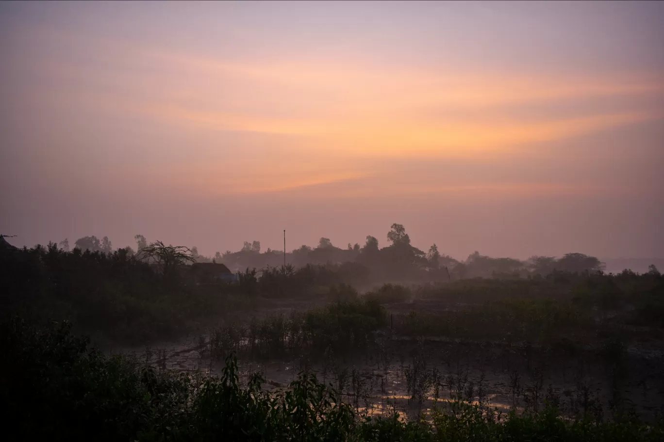 Photo of Sundarbans By Abinash Mahapatra