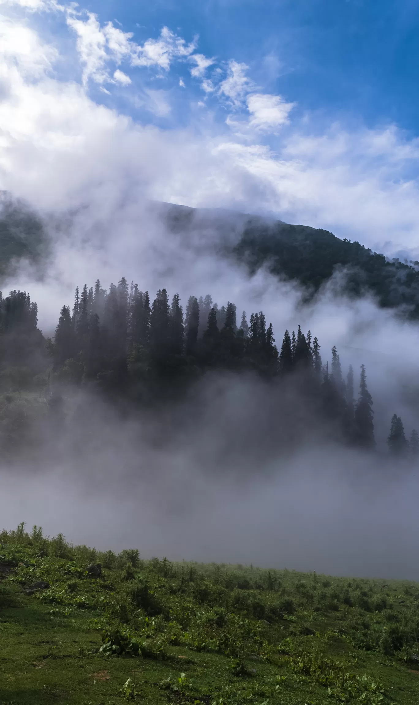 Photo of Manali By Anmol Bohra