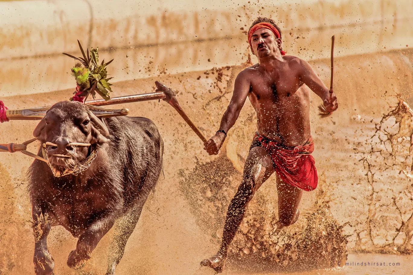 Photo of Karnataka By Milind Shirsat