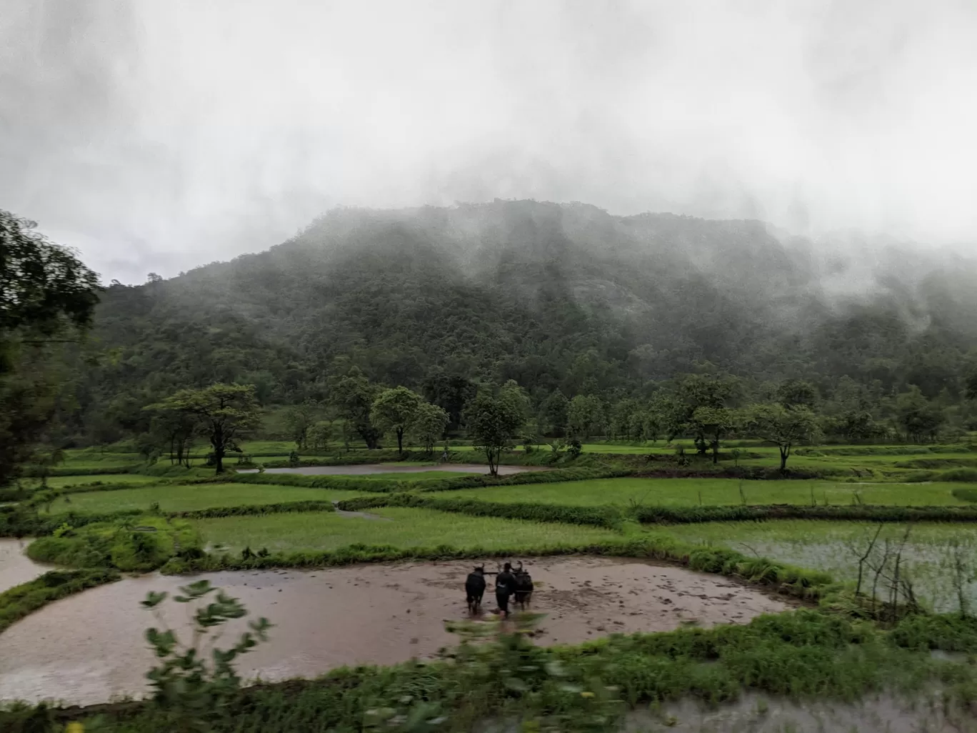 Photo of Goa By Vedang Bhonde