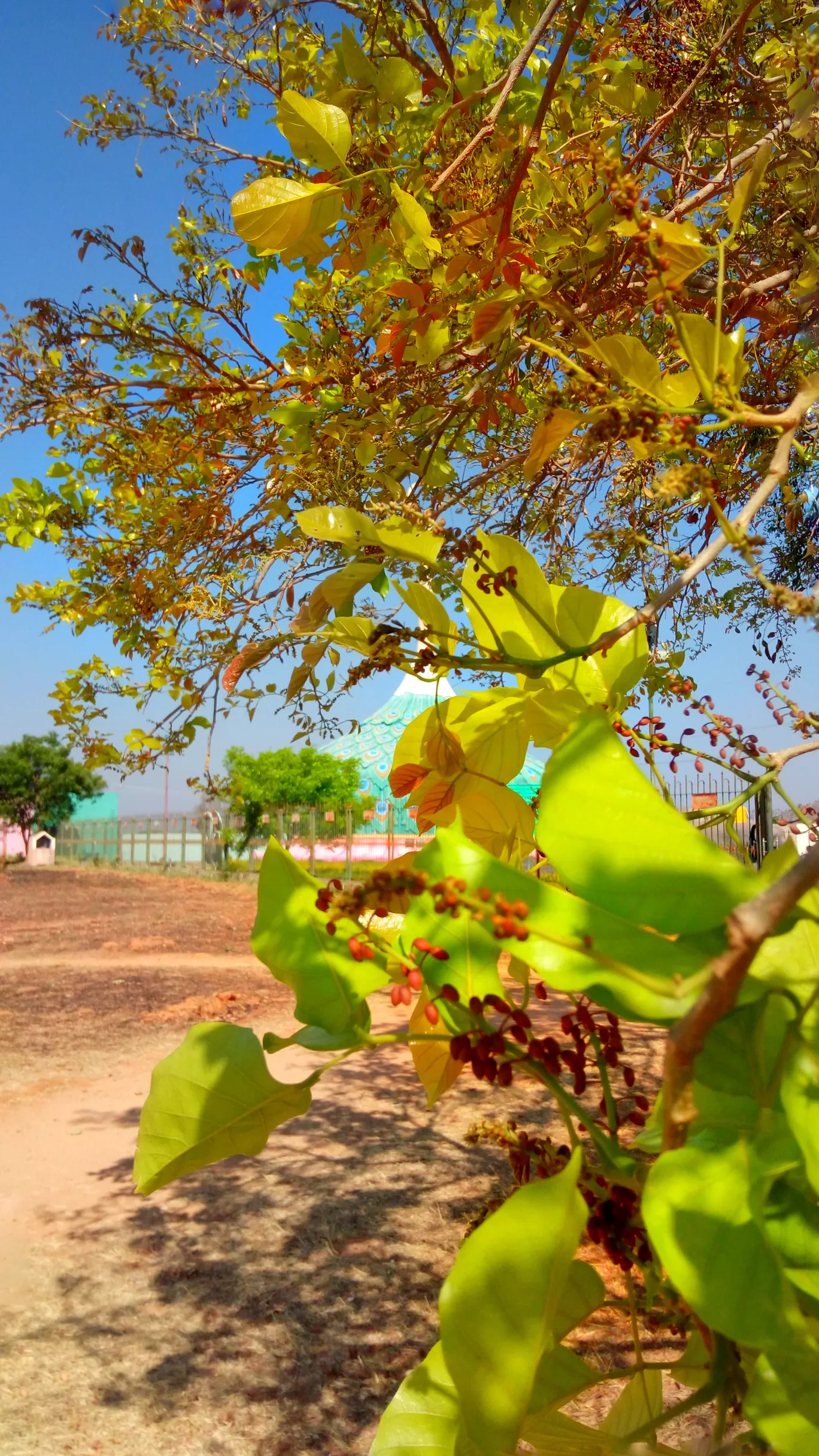 Photo of Mandaragiri Hill By Runa Nath