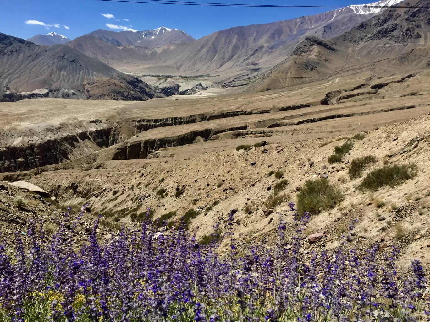 Photo of Ladakh By Sheila Bhat