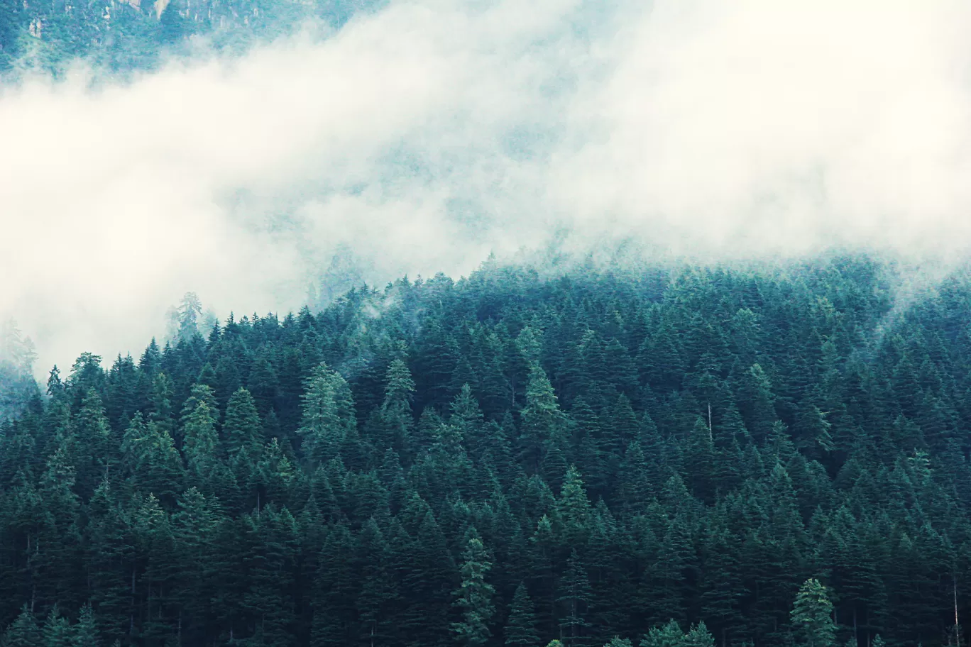 Photo of Manali By Akash Chaudhary