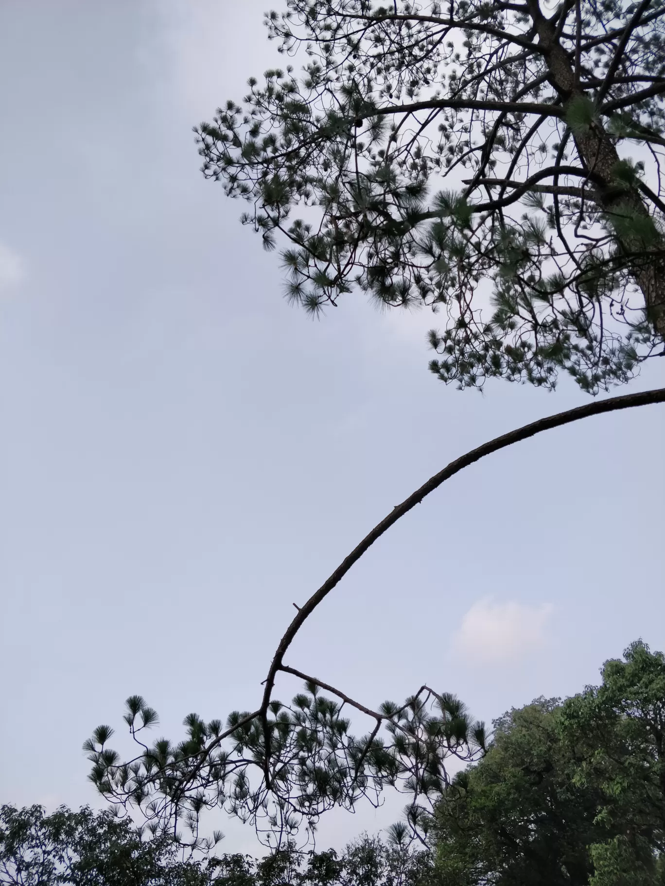 Photo of Lansdowne By Garima Luthra