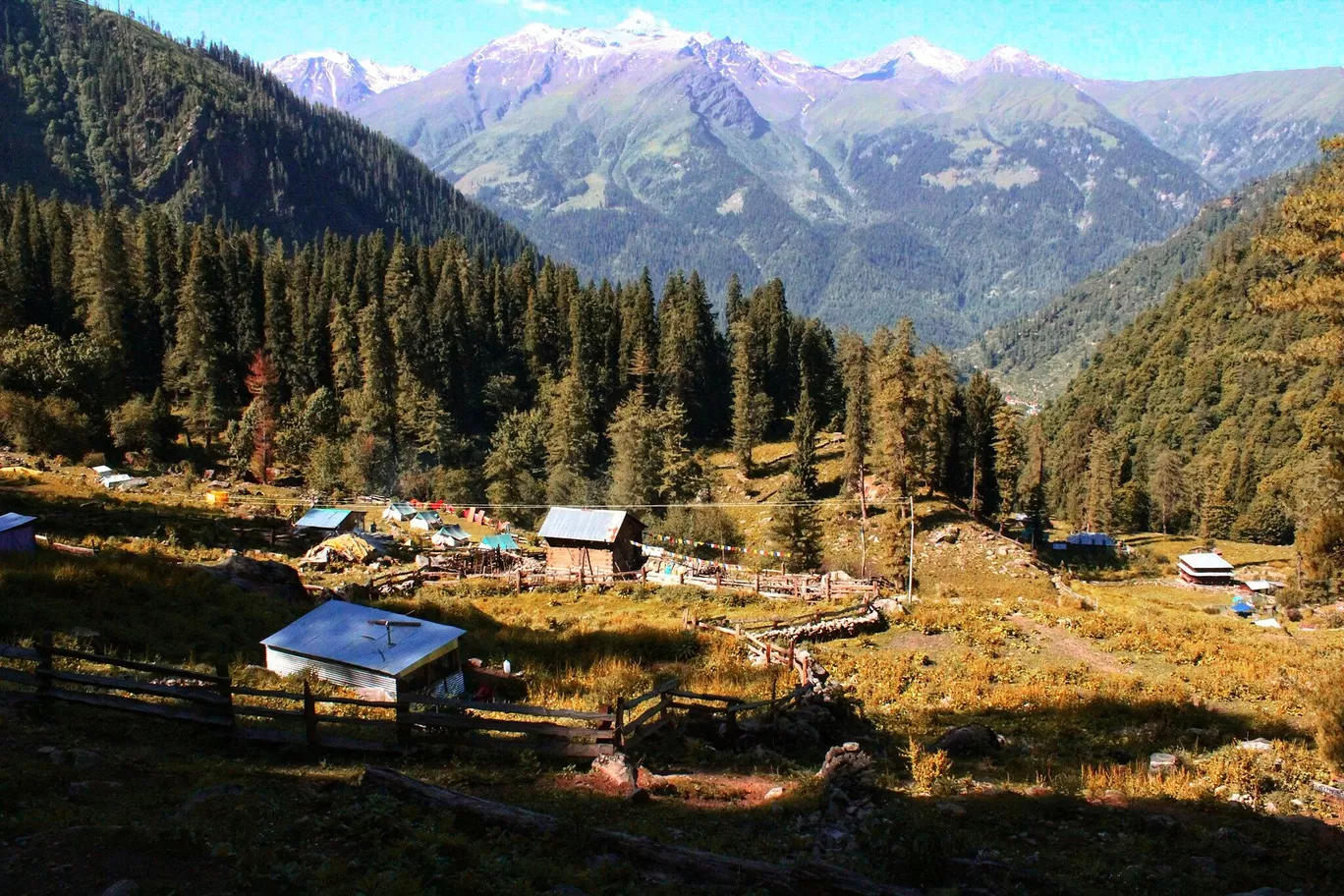 Photo of Kutla By Salil Sharma