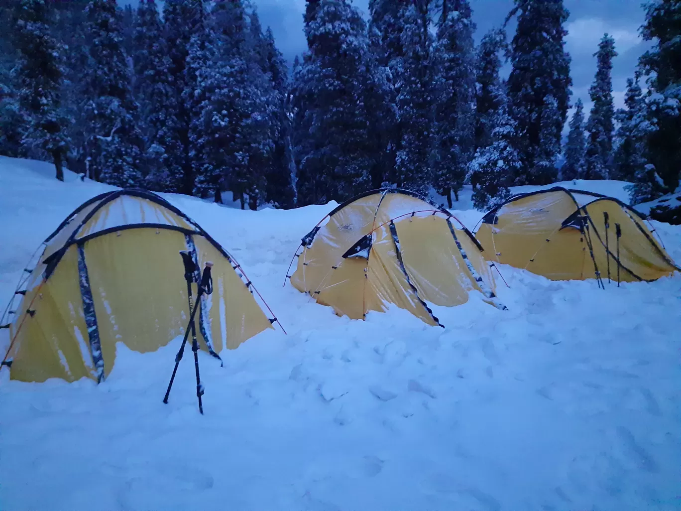 Photo of Kedarkantha Trekking By Shakti Sisinti