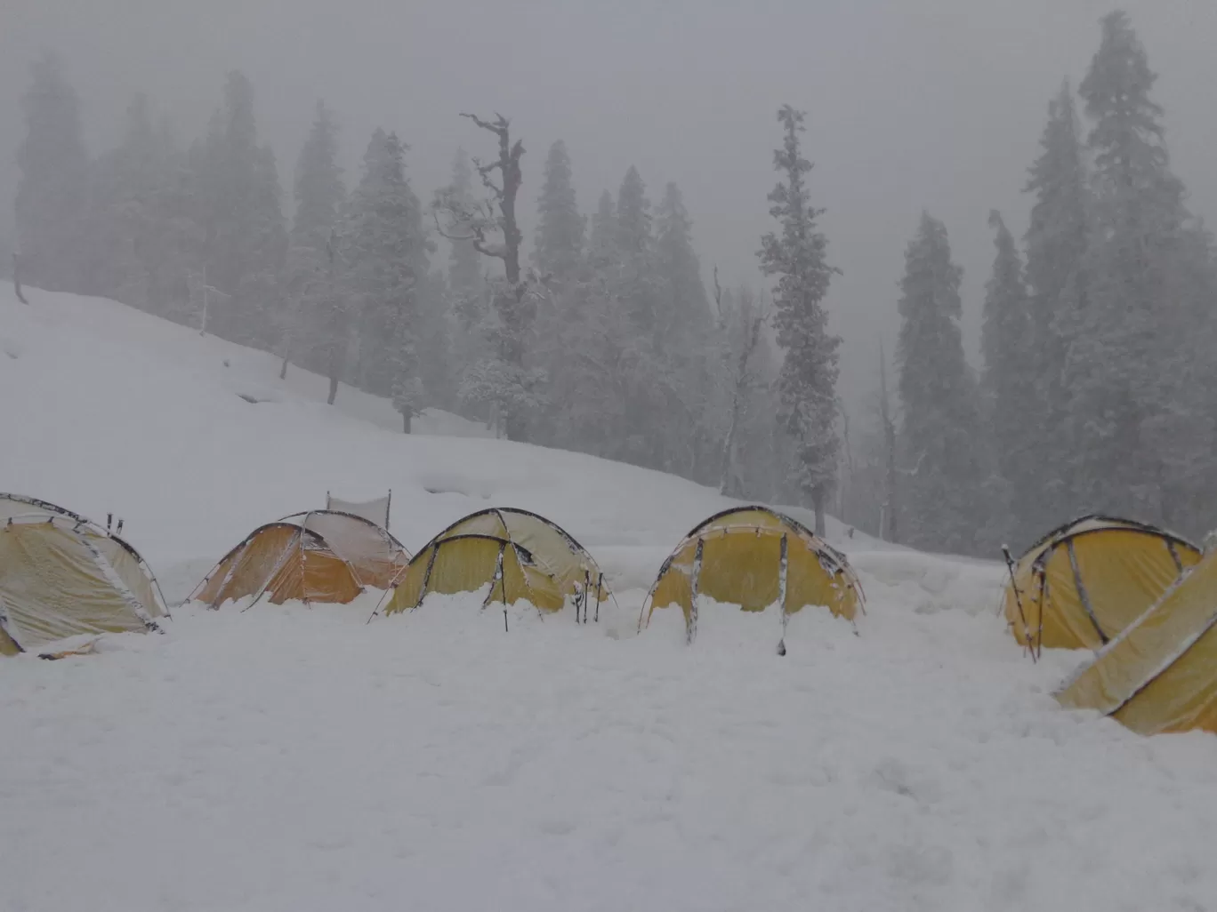 Photo of Kedarkantha Trekking By Shakti Sisinti