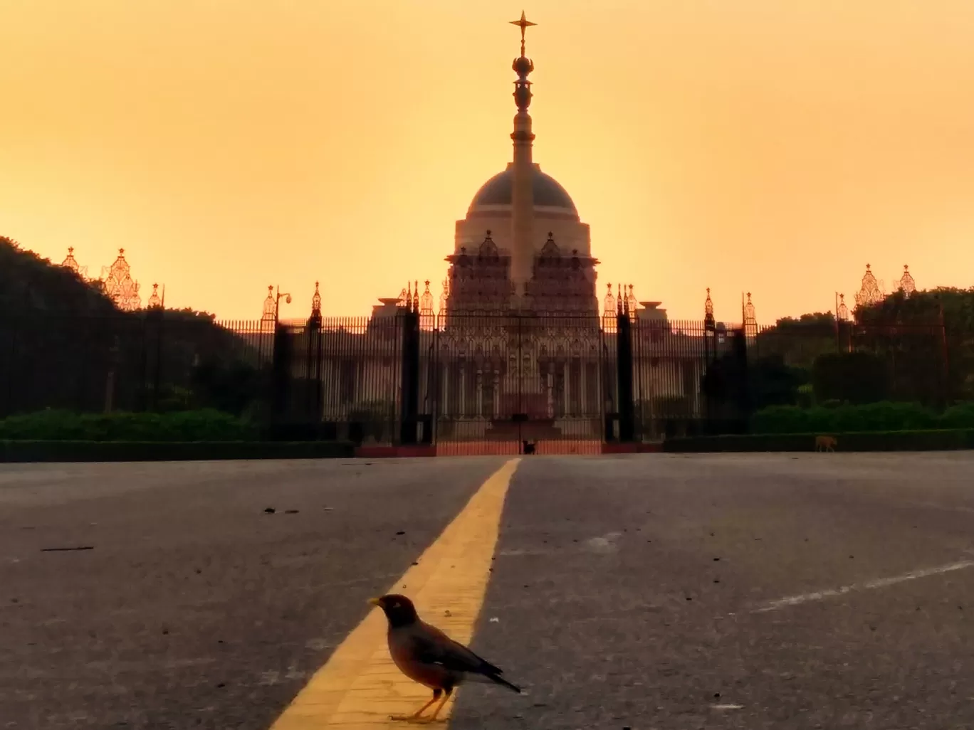 Photo of India By Venkata Sai Rahul Nagapuri