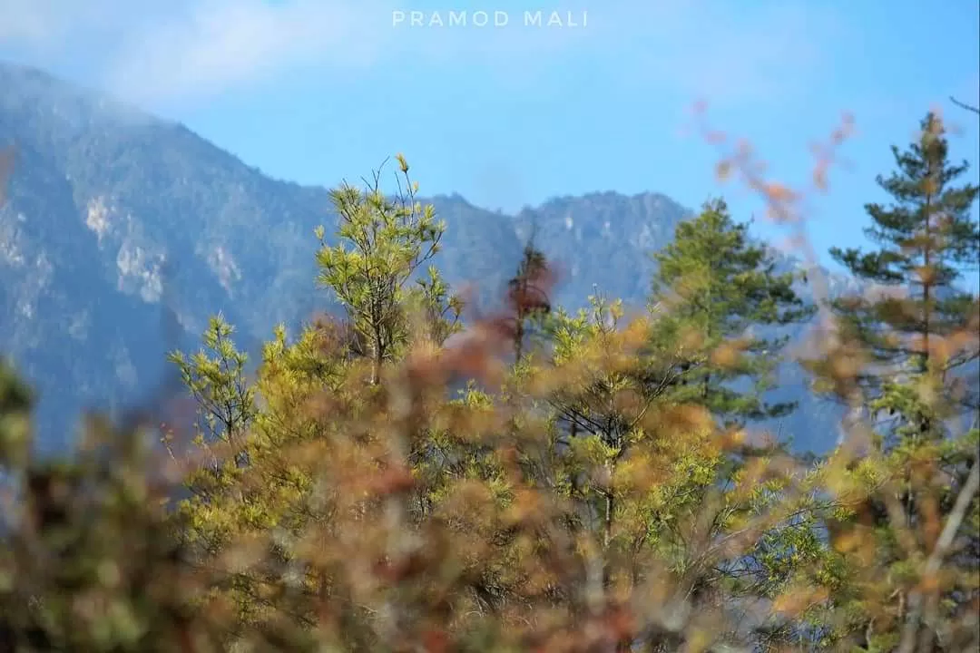 Photo of Tiger’s Nest By Pramod Mali
