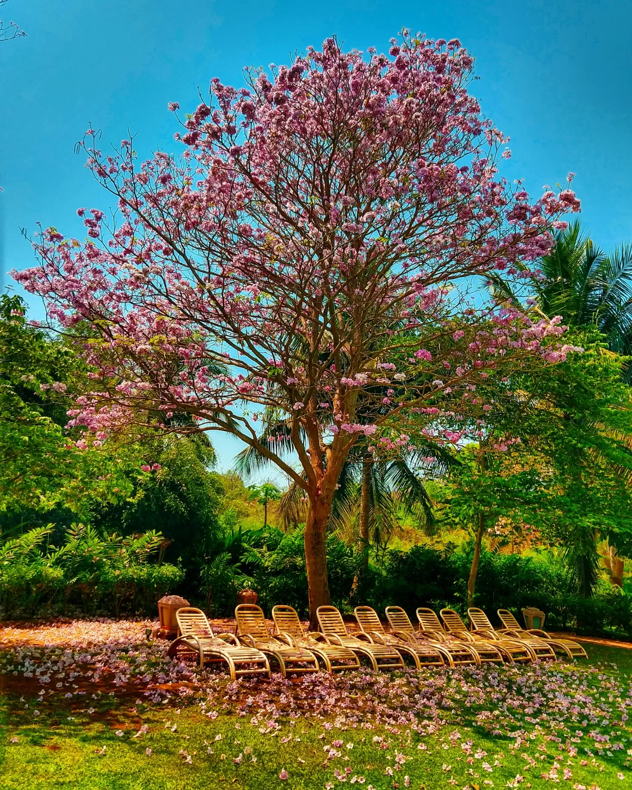 Photo of Club Mahindra Varca Beach By Shruti Hariharan